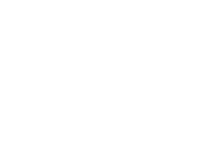 Tampon Corespa 100%