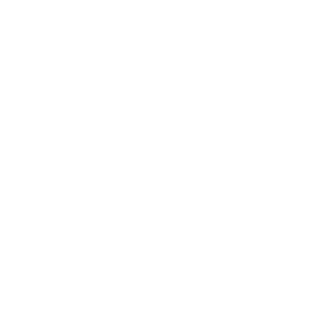 Logo Anovator sans fond