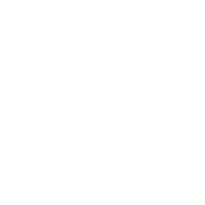 Logo Shua blanc sans fond
